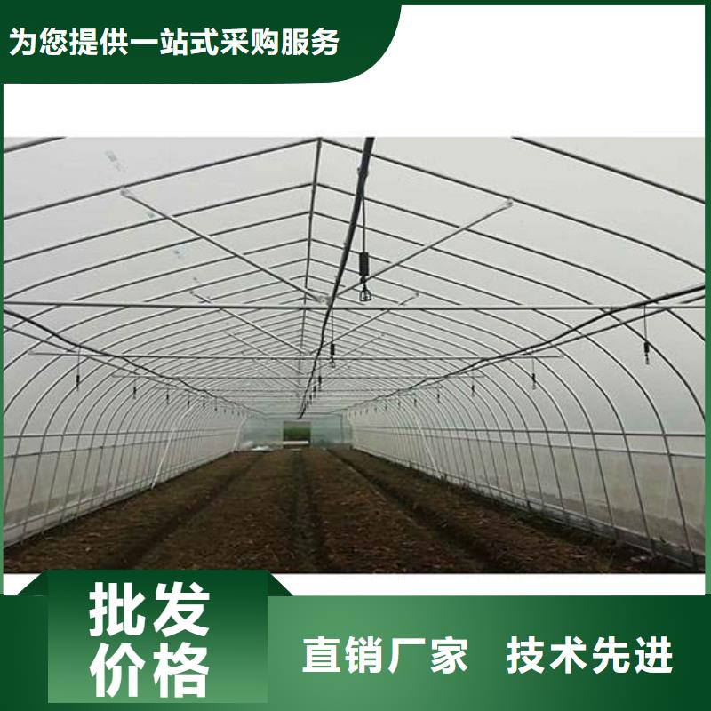 津果树骨架钢管厂家