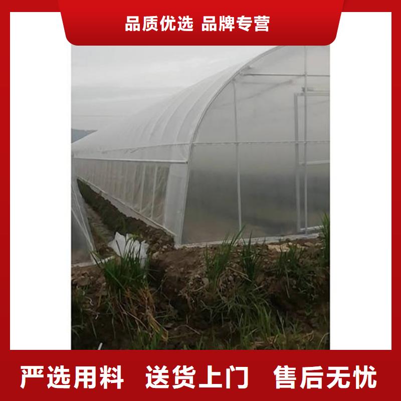 津果树骨架钢管厂家