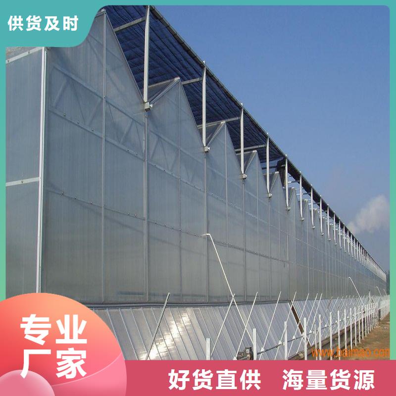 徐闻县大棚管厂家采购