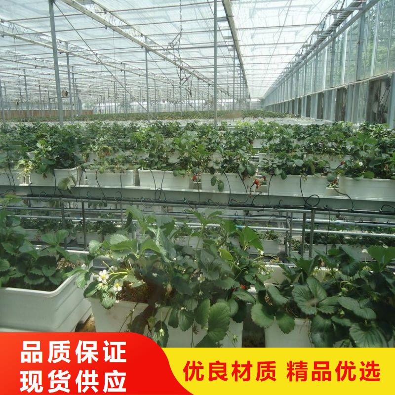 青原塑料薄膜大棚品质保障