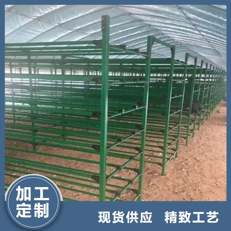 北戴河区树苗大棚骨架机