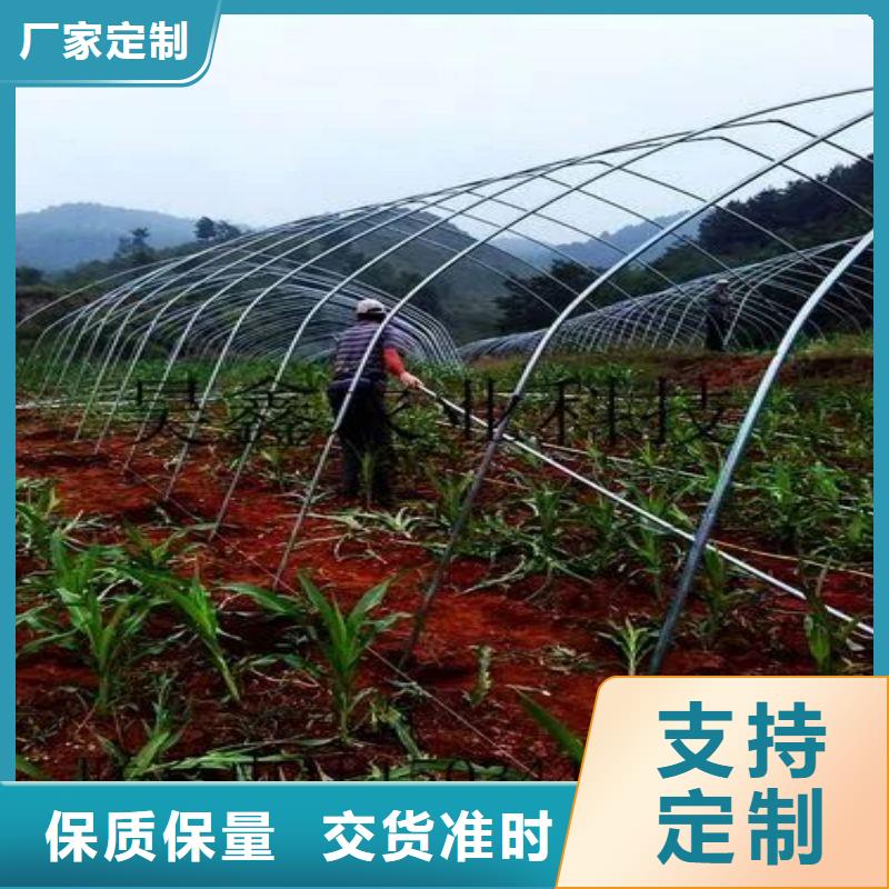 海州市草莓大棚管折弯喜欢