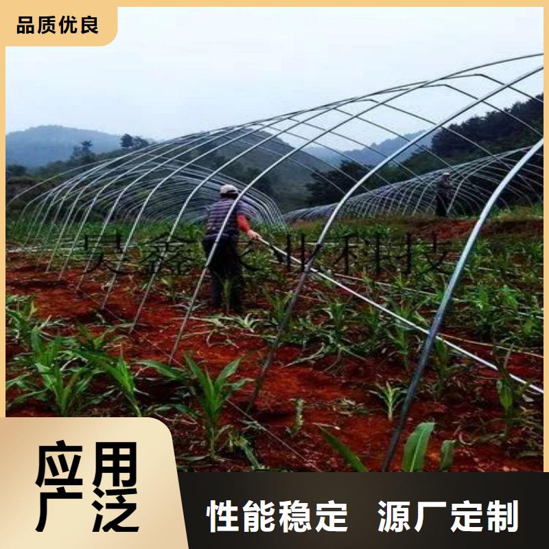 东至连栋大棚的优缺点价格行情2025