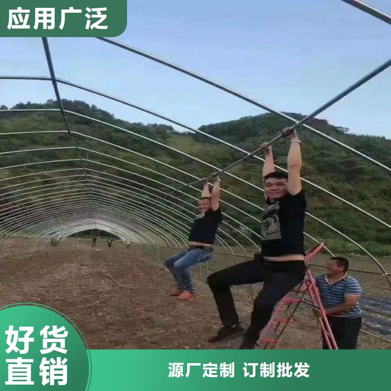 藁城区连体大棚管价格喜欢