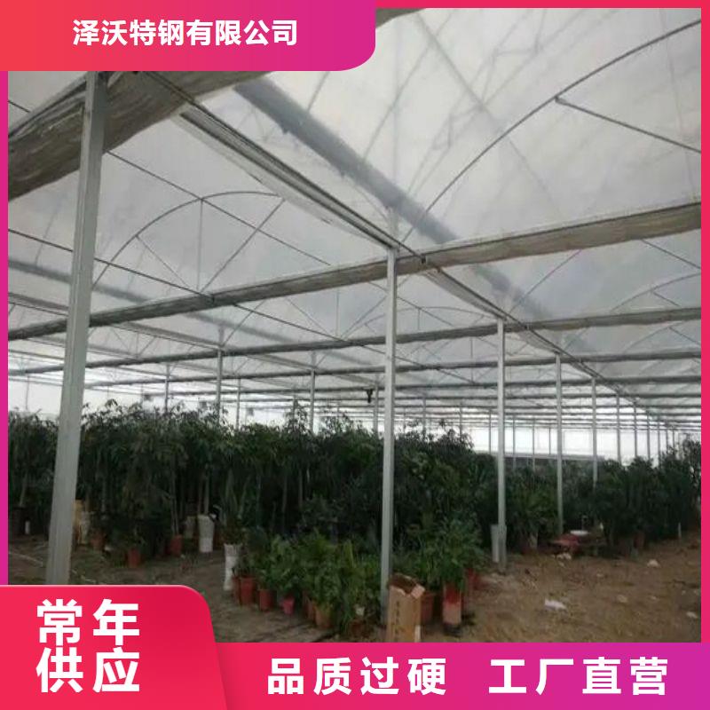 民乐县6分大棚钢管
