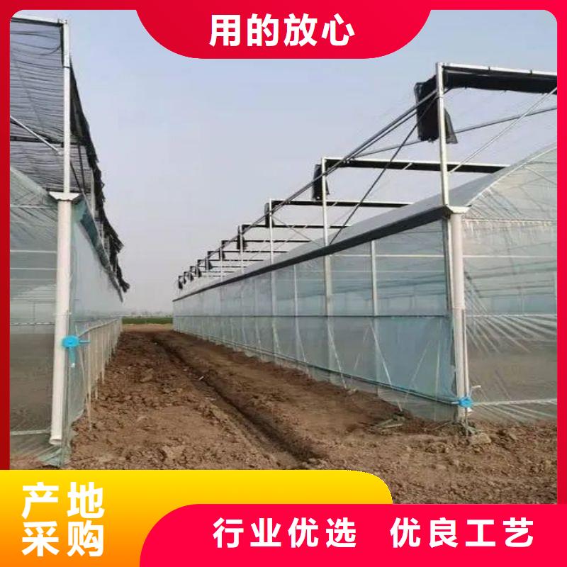 会泽县棉被大棚采购