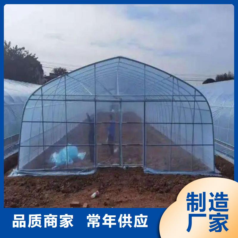 【大棚管2大棚管批发价格】