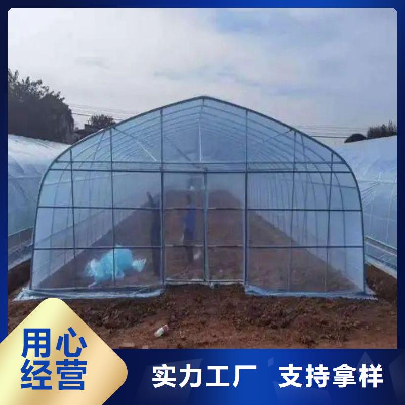 清河区种植大棚采购