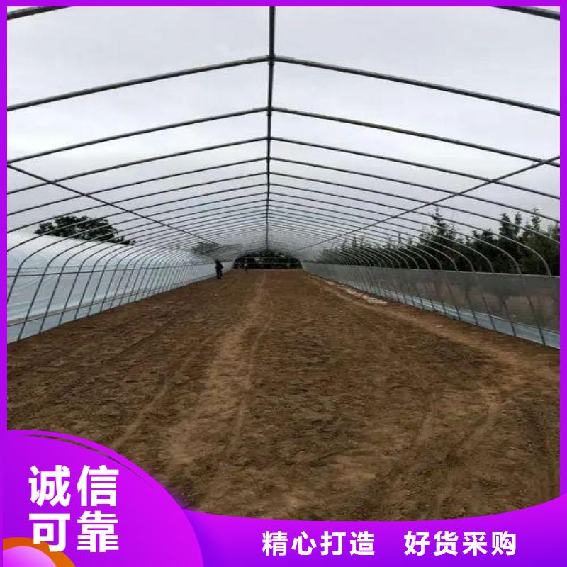 龙亭连栋大棚图片购买2025