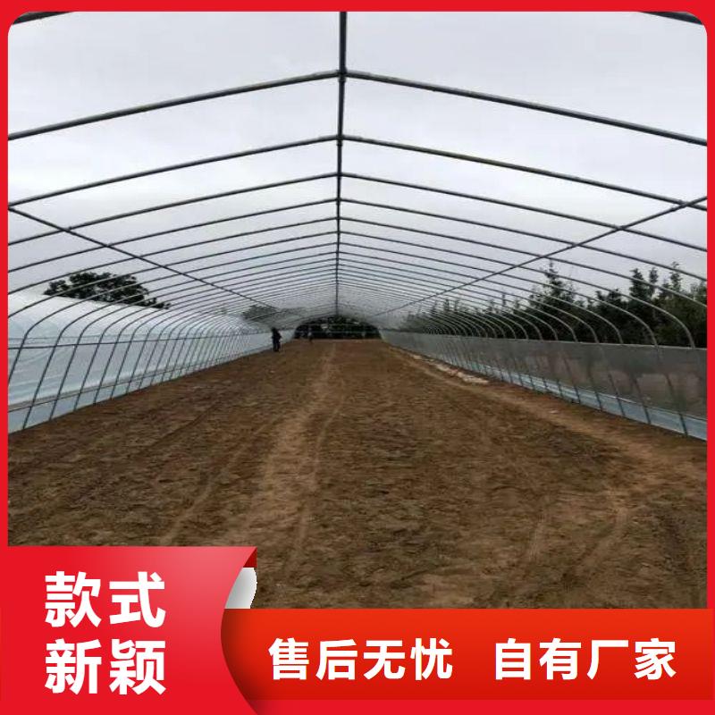 高坪连栋大棚造价多少一亩产品介绍2025