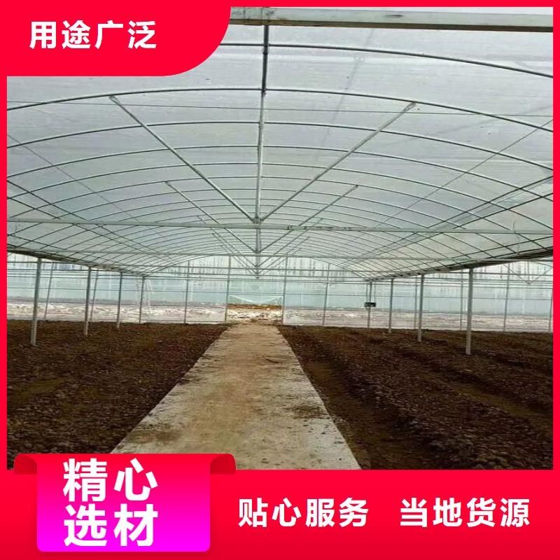 石台县火龙果定尺大棚管