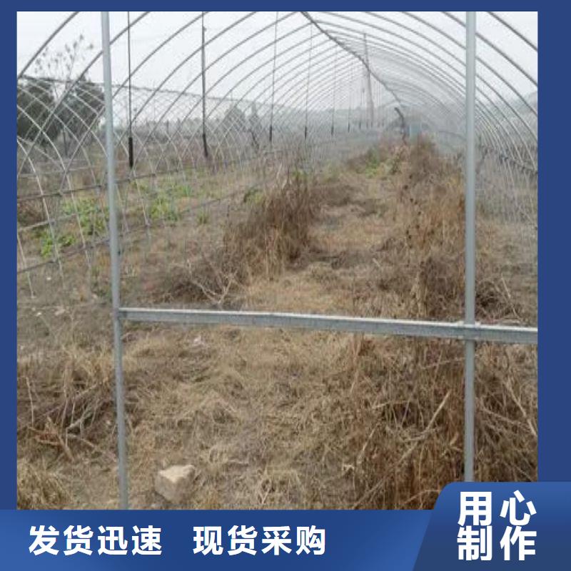 溆浦县连体大棚询问报价