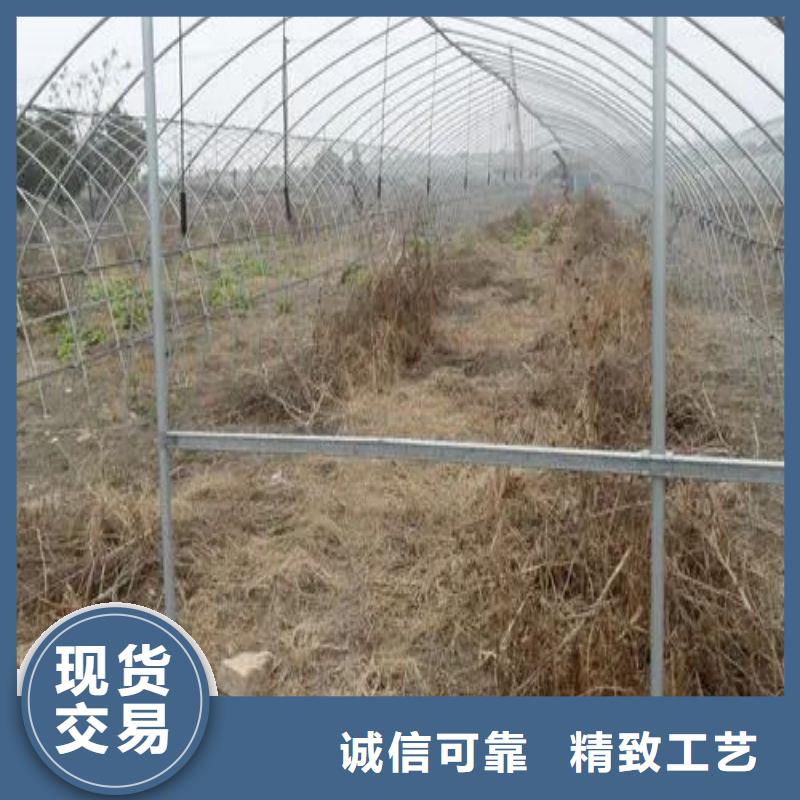 西乡县草莓大棚管折弯