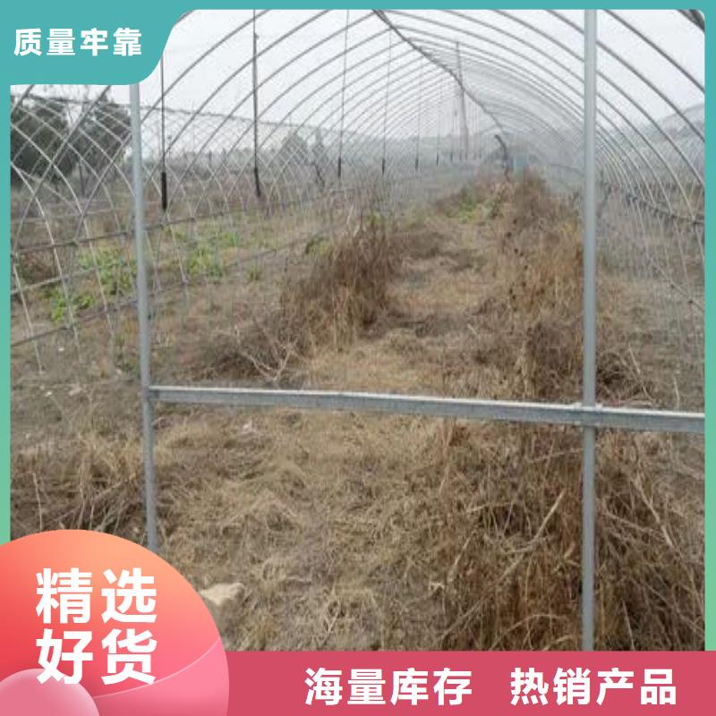 保亭县蔬菜连体温室大棚管实力厂家