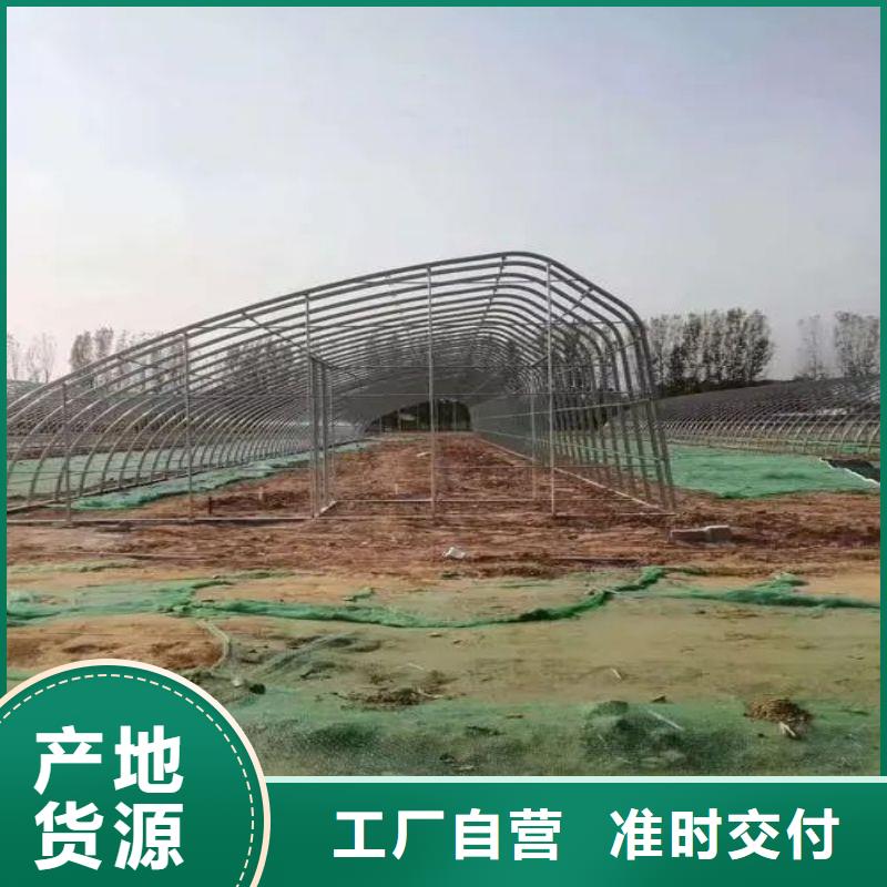 远安连栋大棚种植直销价格2025