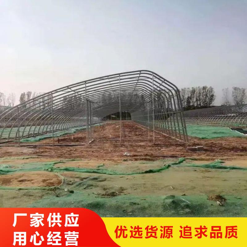 大棚管2玻璃温室大棚服务始终如一