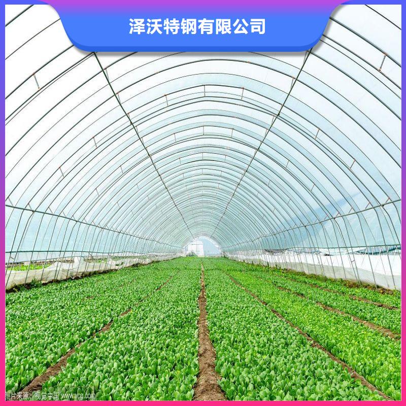 春秋冷棚图片