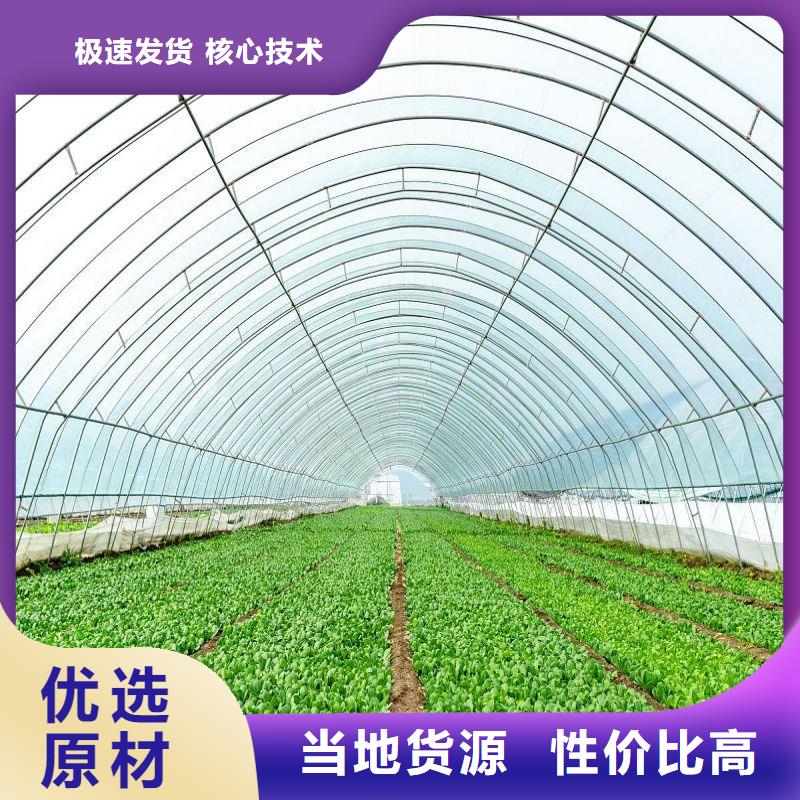 新建无锡连栋大棚询问报价2025