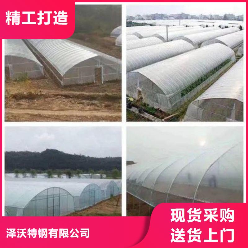 水城县养鸡大棚管价格