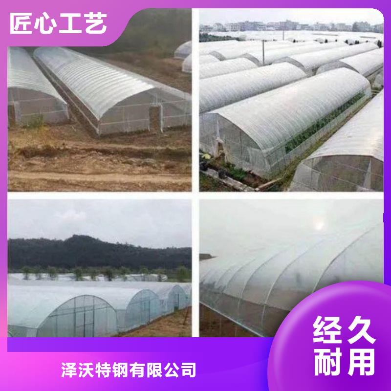 广德县纹络型玻璃温室正规厂家