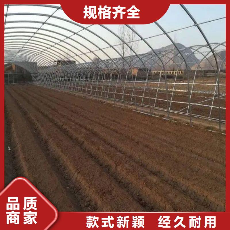 凉州区温室水培系统怎么买