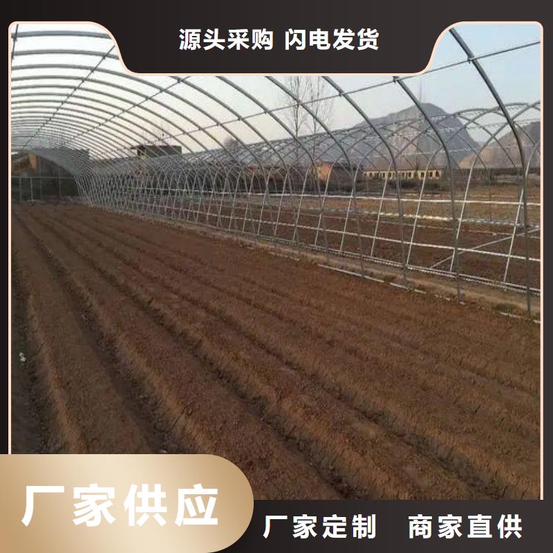 桂平市连栋镀锌管择优
