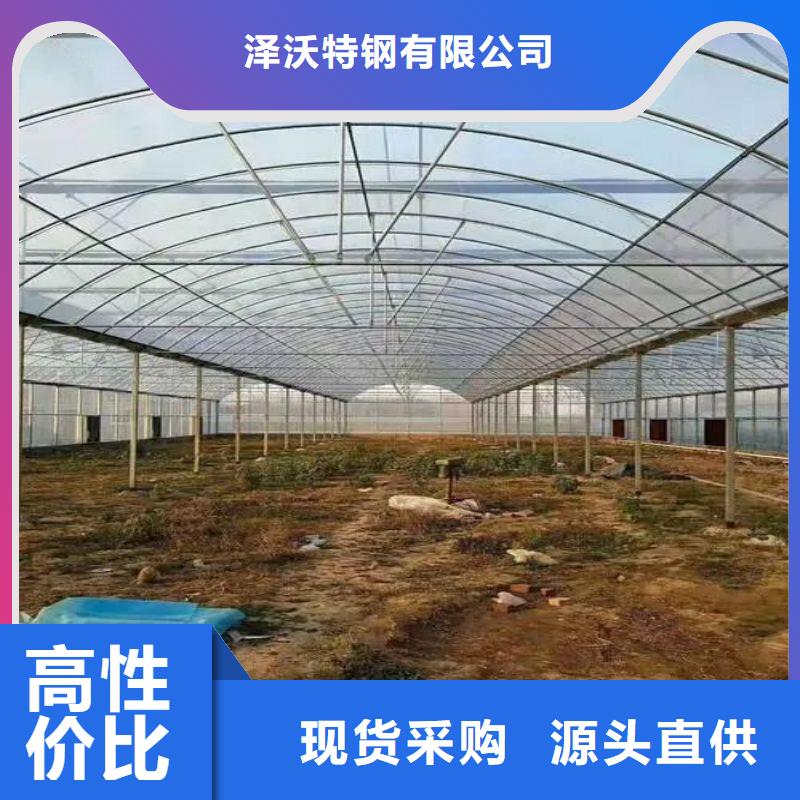 民乐县防虫网性价比高