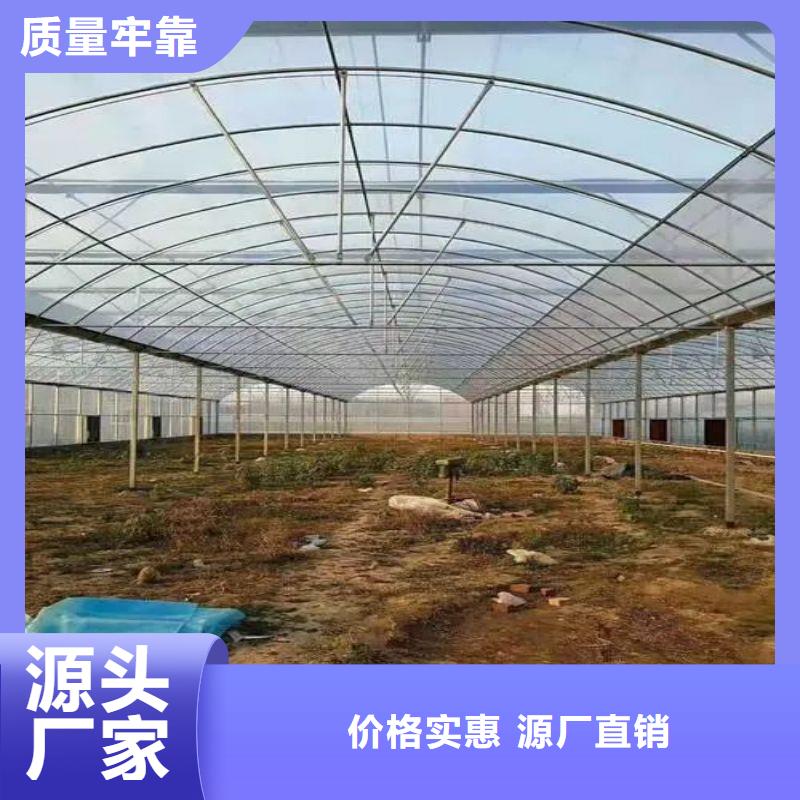 桥西农业骨架钢管