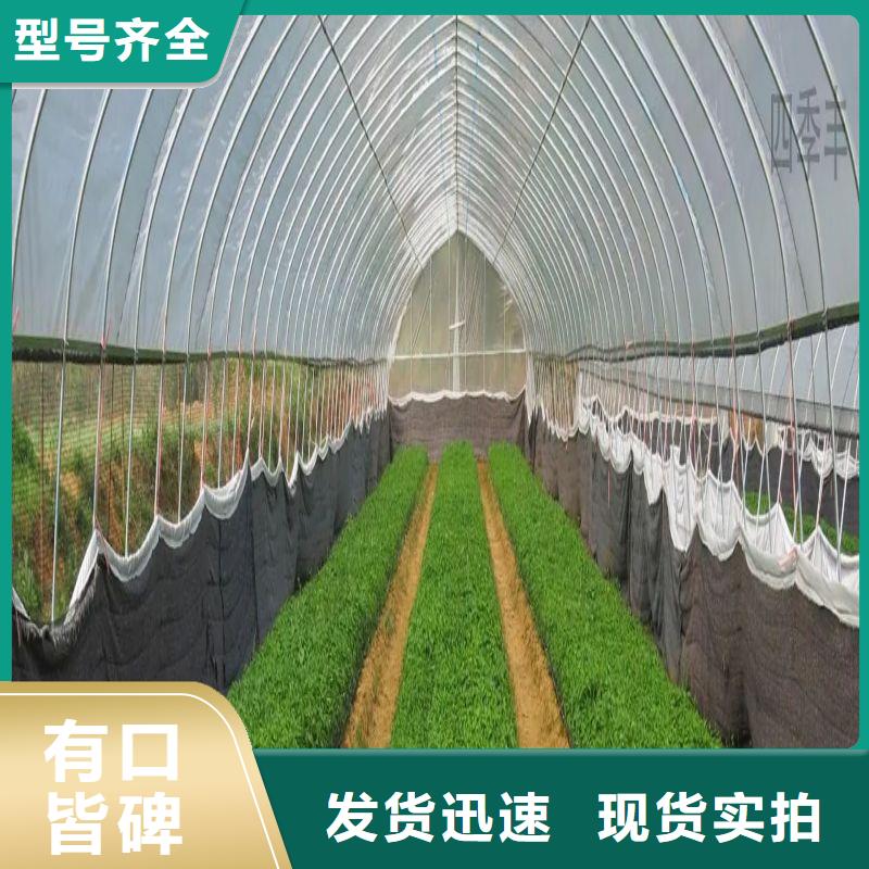 富源连栋大棚造价多少一亩价格公道2025