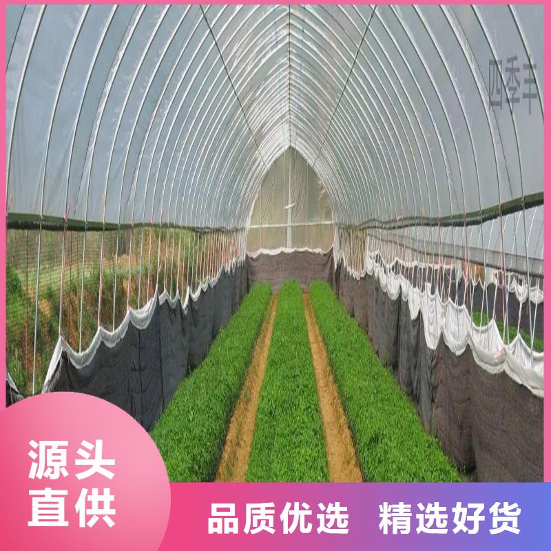 溪湖区连体大棚管生产厂家