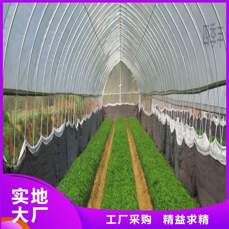 祁门扁钢丝多少钱一斤