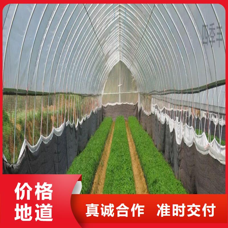 华蓥县黄瓜大棚骨架管
