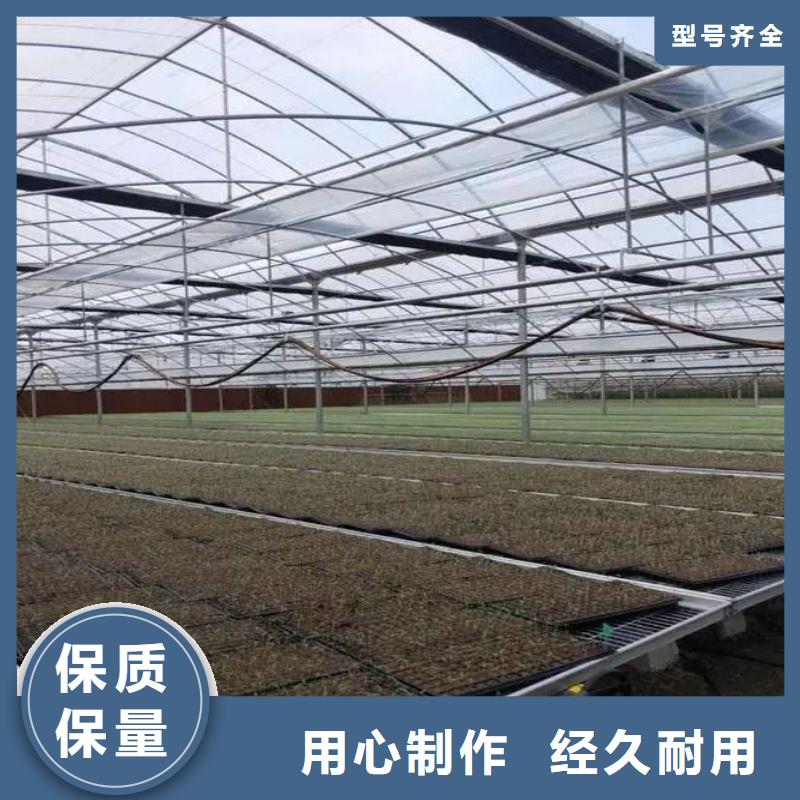 西陵玻璃连栋大棚质量放心2025