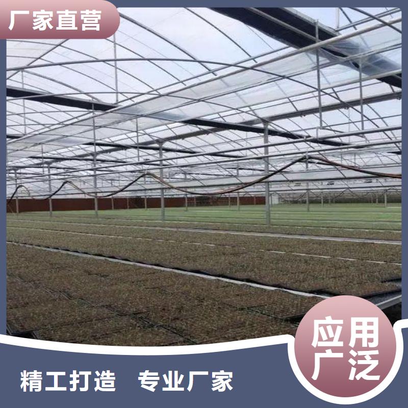种植棚现货价格