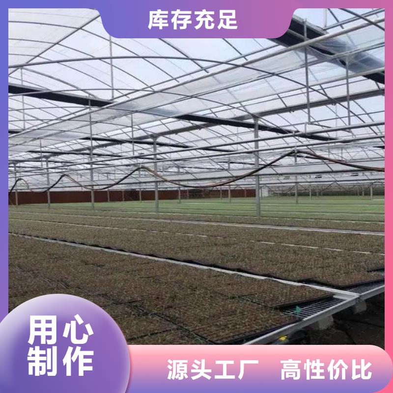 中堂镇连栋塑料薄膜大棚骨架管