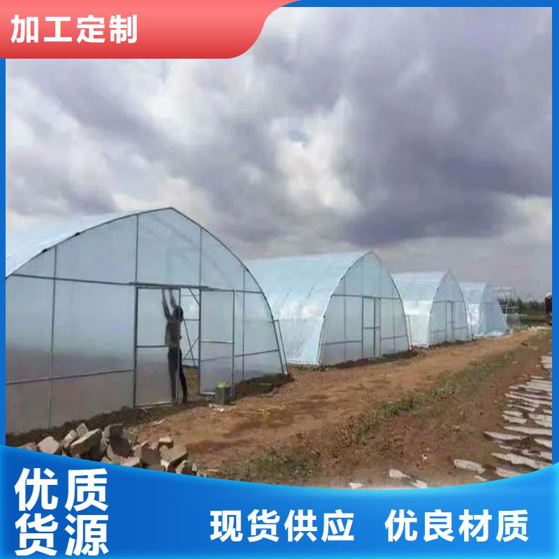 蔬菜连栋大棚管种植基地