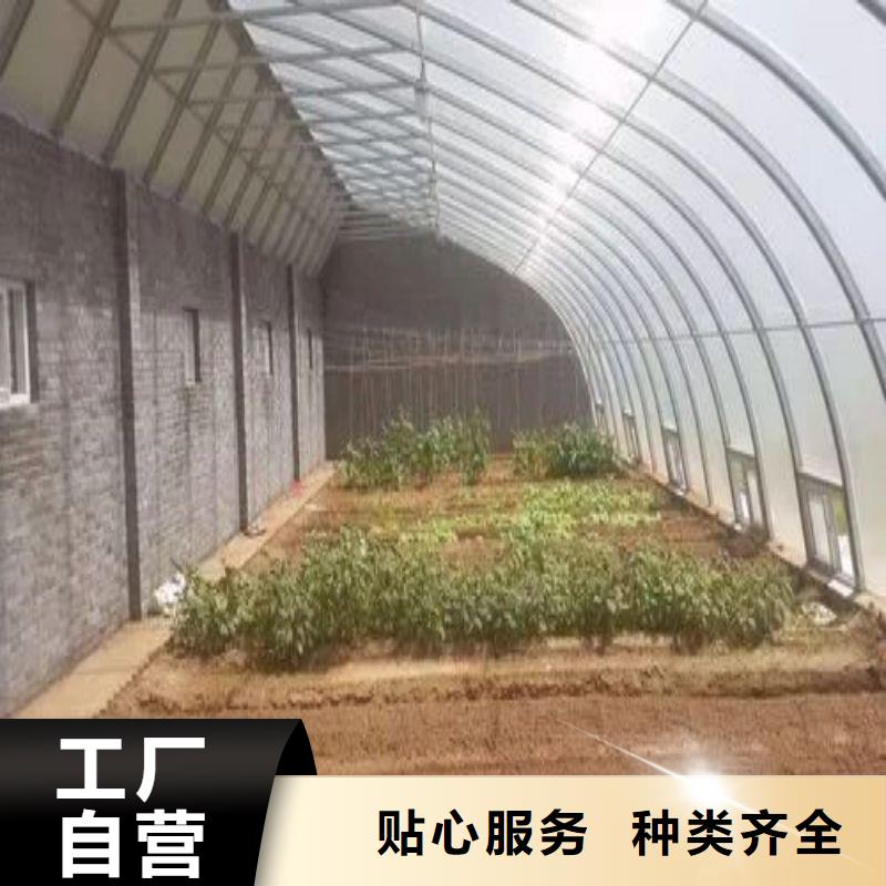 连栋大棚钢管厂实体厂家