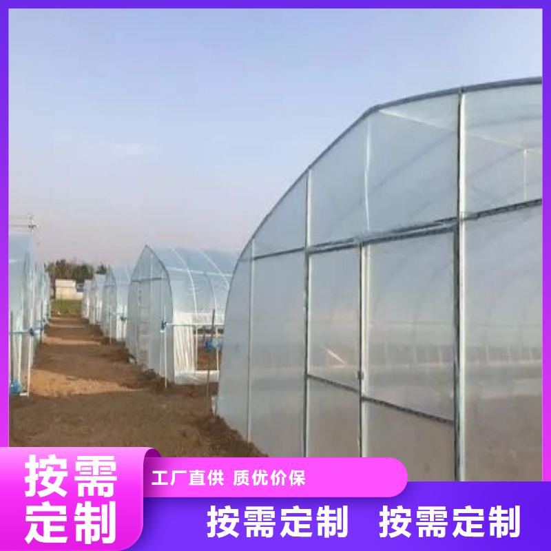 Q235连体大棚镀锌管，设计