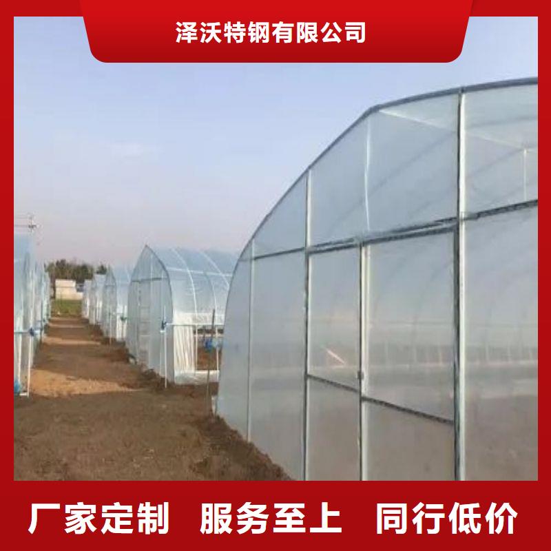 遵化市火龙国大棚怎么卖