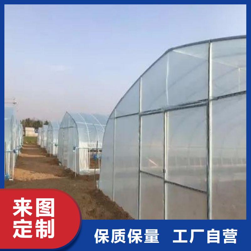 草莓大棚管折弯售卖