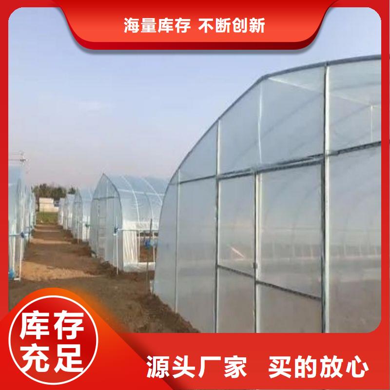虎丘种植棚厂家