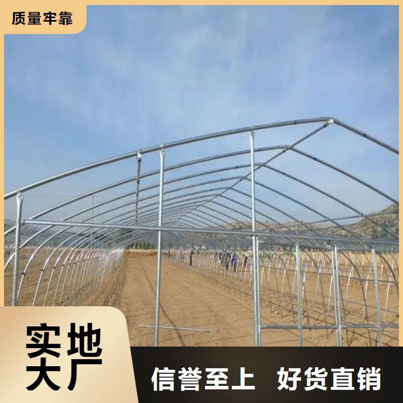 敦化区连栋【大棚管】设计