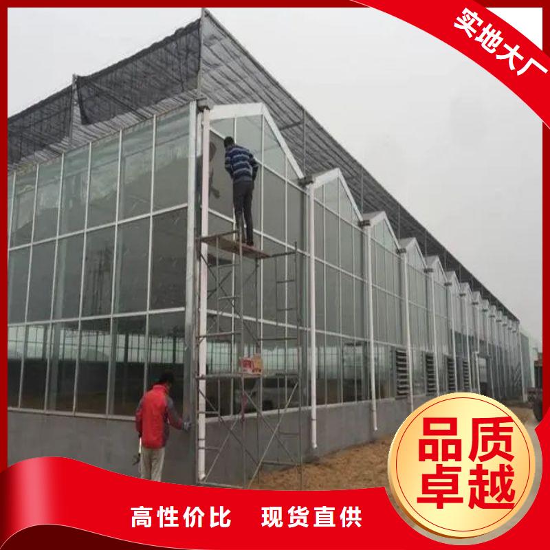 蔬菜连栋大棚管种植基地