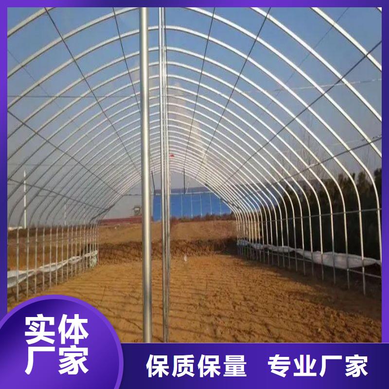 确山县草莓大棚管折弯