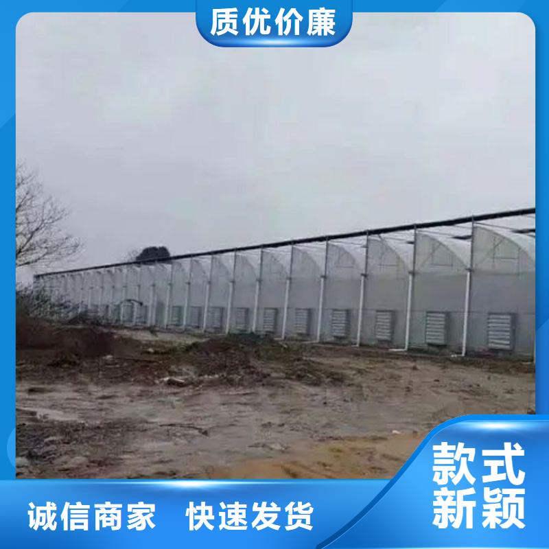 火龙果大棚管厂家