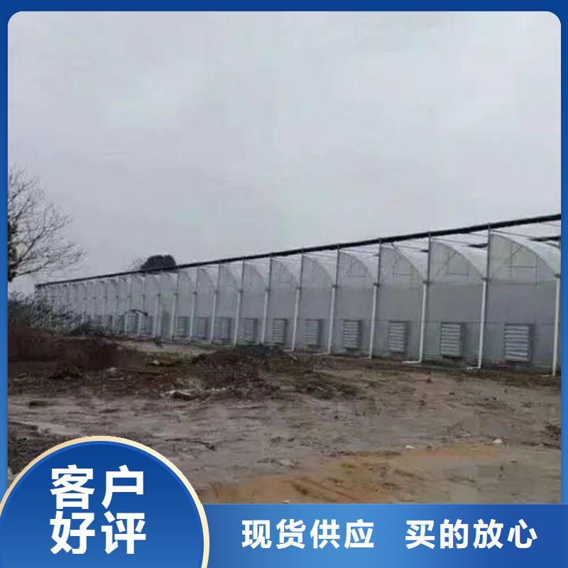 东门街道连栋大棚钢管实体厂家