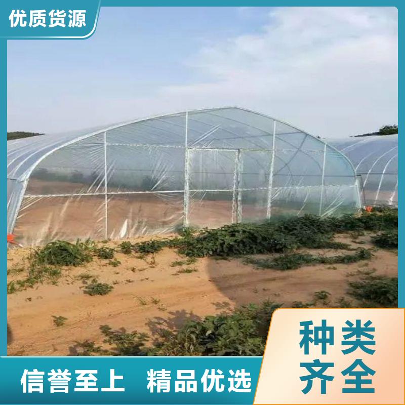 桥西农业骨架钢管