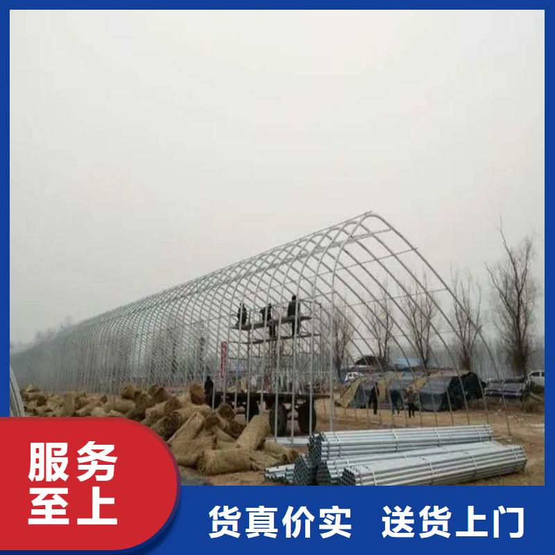 望都县大棚设备正规厂家