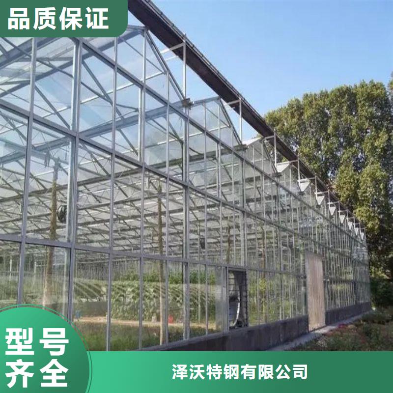 金明连栋大棚造价多少一亩近期行情2025