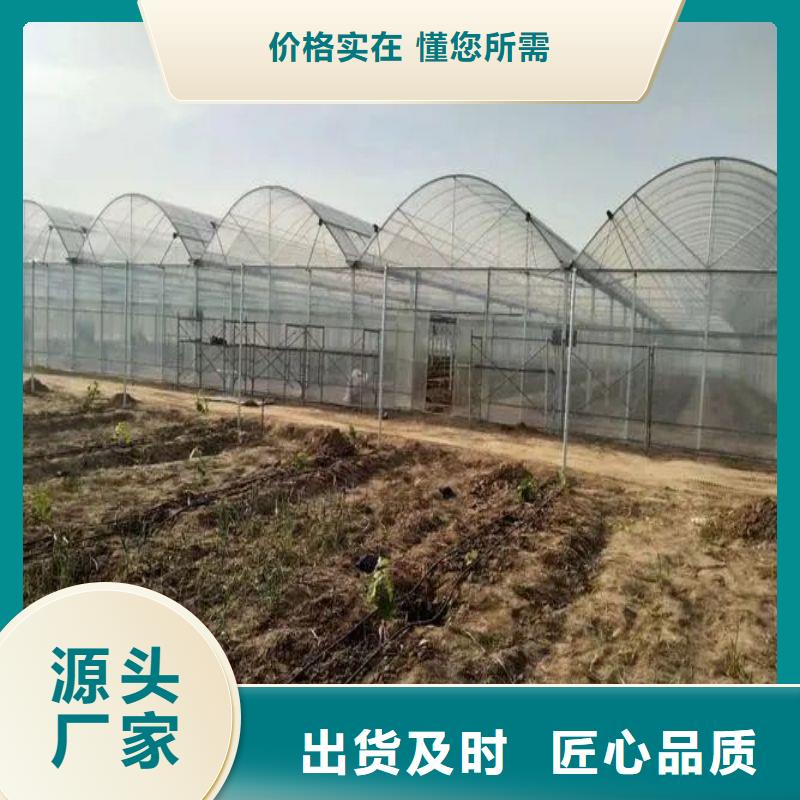 太和扁钢弹簧上门测量服务